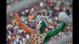 مشجع إيفواري خلال بطولة كأس الأمم الأفريقية 2015، التي فاز بها منتخب ساحل العاج