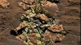 Sulfur-Crystals-Within-a-Crushed-Rock-on-Mars