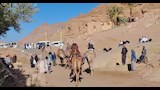 صعود الجبل 