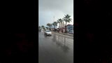 هطول أمطار على الإسكندرية (4)