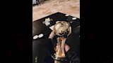 حسام عبد المجيد وزوجته (6) (1)