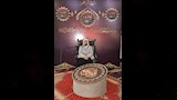 مسابقة بورسعيد الدولية لحفظ القرآن الكريم (6)
