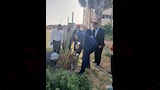 مدير تعليم الخارجة يشاركة في مبادرة ازرع نخلة