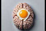 ماذا يحدث للدماغ عند تناول صفار البيض؟