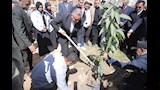 رئيس جامعة السويس يرزع شجرة 