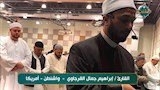 الشيخ إبراهيم جمال القرجاوي