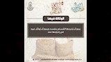 زكاة الفطر (4)