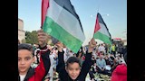 الآلاف في بورسعيد يرفضون مخطط تهجير الفلسطينيين  (8)