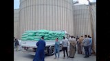 استلام 360 طنًا من القمح المحلي لموسم 2025 بمحافظة الفيوم (4)
