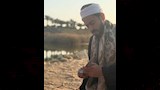 حمادة هلال مسلسل المداح 