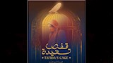 فيلم قفص تفيدة