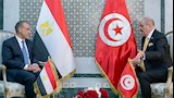 لقاء وزيري خارجية تونس ومصر