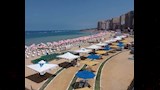 شواطئ الإسكندرية تتجمل (10)