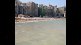 شواطئ الإسكندرية تتجمل (2)
