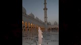 جولة جورجينا في مسجد الشيخ زايد الكبير (5) (1)