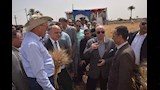 محافظ بني سويف يفتتح موسم حصاد القمح من أحد الحقول (6)