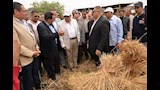 محافظ الدقهلية يطلق موسم حصاد القمح (2)