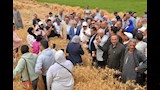 محافظ الدقهلية يطلق موسم حصاد القمح (10)