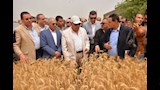 محافظ الدقهلية يطلق موسم حصاد القمح (11)