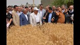 محافظ الدقهلية يطلق موسم حصاد القمح (8)