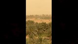 عاصفة ترابية تضرب واحة سيوة ١٢_4