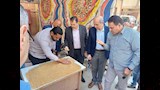 بدء توريد القمح المحلي بالفيوم بسبب نضج المحصول مبكرًا