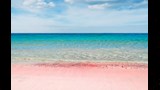 شاطئ الرمال الوردية في جزر البهاما