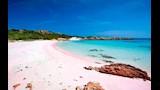 شاطئ الرمال الوردية في جزر البهاما