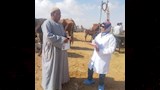 قوافل بيطرية مجانية لرعاية 15 ألف حيوان في 10 محافظات (4)