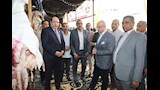 محافظ بني سويف يفتتح ثان معارض أضحى مبارك (3)
