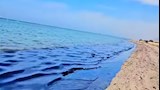 بقع زيتية على سطح مياه البحر