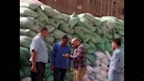 توريد 54 ألف طن قمح للشون والصوامع في بني سويف (4)