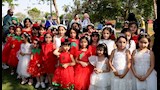 كرنفال الربيع يضيء الإسماعيلية بعروض الزهور 