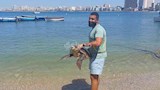 إنقاذ سلحفاة نادرة مهددة بالانقراض في الإسكندرية  (8)