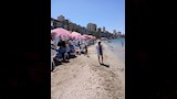 شواطئ الإسكندرية (8)