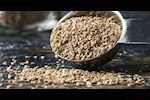 بذور الكرفس على الريق.. سر طبيعي لمحاربة الانتفاخ صيفًا