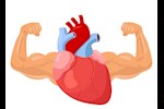 في 5 خطوات- دليلك لتقوية عضلة القلب