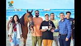 استمرار فعاليات بطولة الساحل الشمالي للخيول العربية الأصيلة بمركز مارينا العلمين