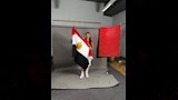 تمارا نادر السيد مع منتخب مصر (2)