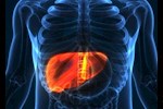 مثبتة علميًا- 6 طرق لعلاج مرض الكبد الدهني