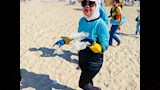 80 متطوعًا ينظفون شاطئ المندرة