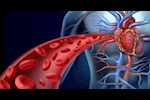 بدون أدوية.. 5 فواكه لتحسين مستويات الهيموجلوبين