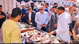 انطلاق مبادرة أسماك البلد وسوق اليوم الواحد بالإسماعيلية  (4)