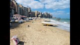 شواطئ الإسكندرية