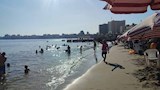 عودة الحياة لشواطئ الإسكندرية (4)