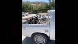 محافظ الوادي الجديد يحظر الشيشة بأكشاك الخارجة 