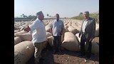 مع انطلاق موسم توريد الأقطان .. محافظ أسيوط دعم الفلاح وتحسين جودة المحصول أولوية استراتيجية (5)