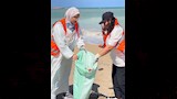 تنظيف شواطئ الإسكندرية من المخلفات البلاستيكية (6)