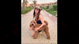 نرمين الفقي وكلبها