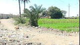 مطالبة بالإزالة الفورية لمكب قمامة بالمنيا 